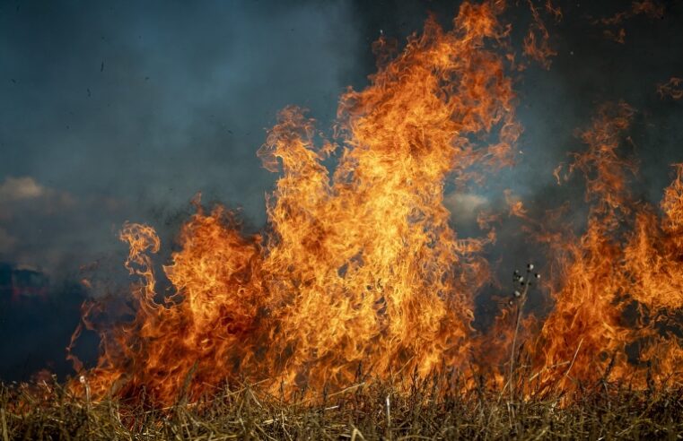 Incêndios Devastam 70% da Terra Indígena Kadiwéu no Pantanal