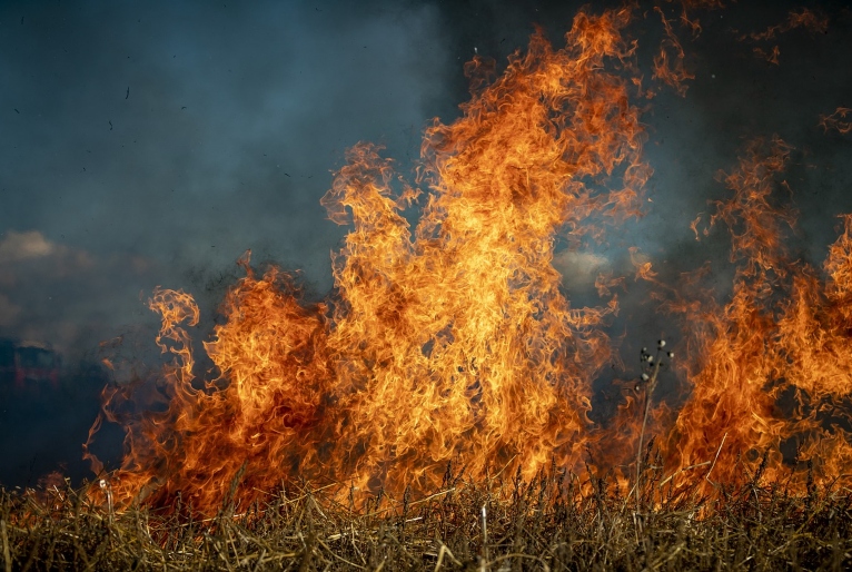 Incêndios Devastam 70% da Terra Indígena Kadiwéu no Pantanal